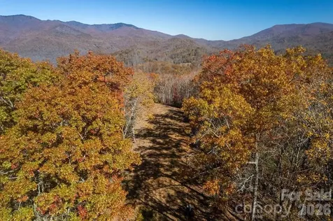 700 Copperhead Cove Sylva NC 28779