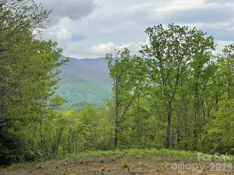 700 Copperhead Cove Sylva NC 28779