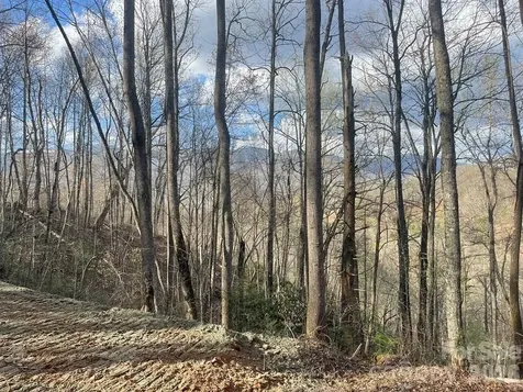 700 Copperhead Cove Sylva NC 28779