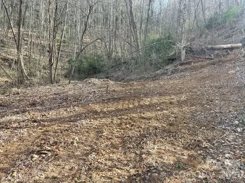 700 Copperhead Cove Sylva NC 28779