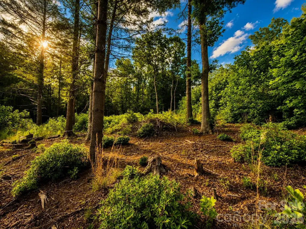 201 Cross Creek North Ridge Drive Marion NC 28752