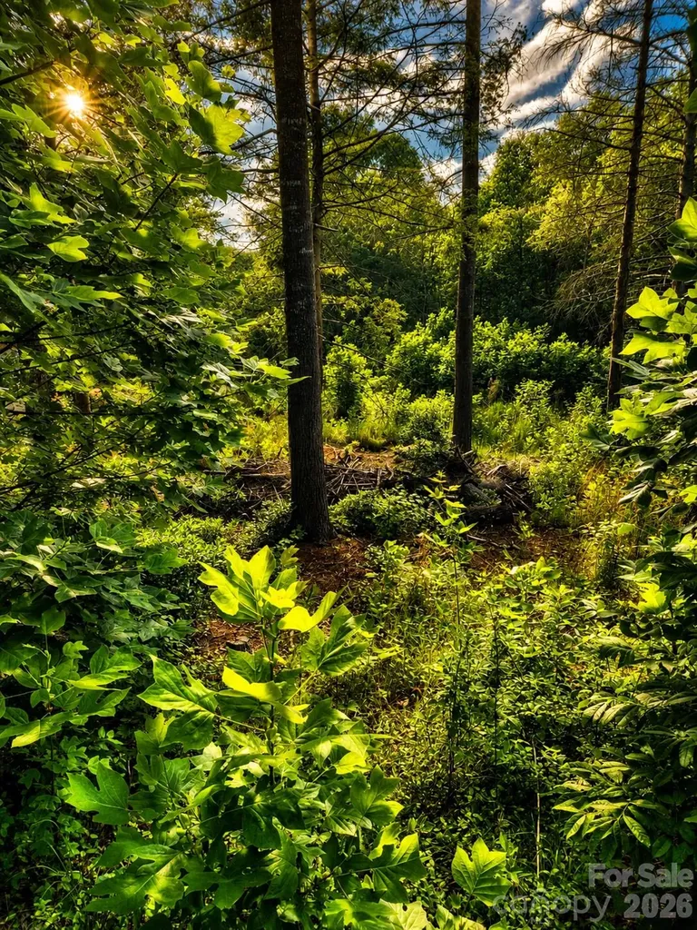 201 Cross Creek North Ridge Drive Marion NC 28752