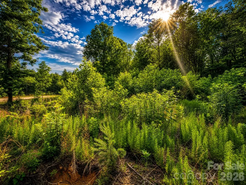 201 Cross Creek North Ridge Drive Marion NC 28752