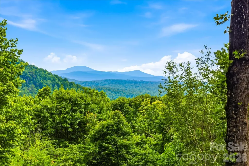 233 Tanglewood Lane Saluda NC 28773