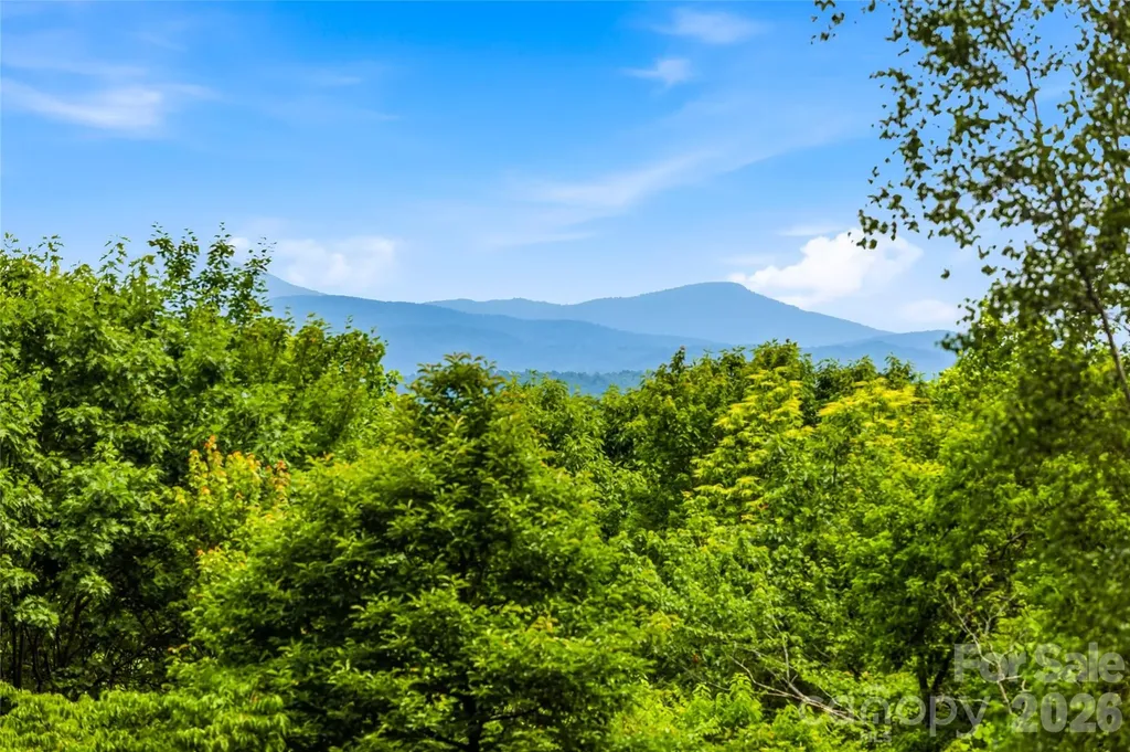 233 Tanglewood Lane Saluda NC 28773