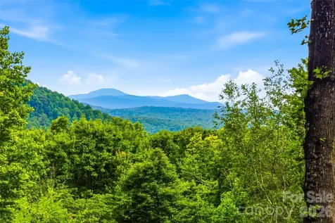 233 Tanglewood Lane Saluda NC 28773