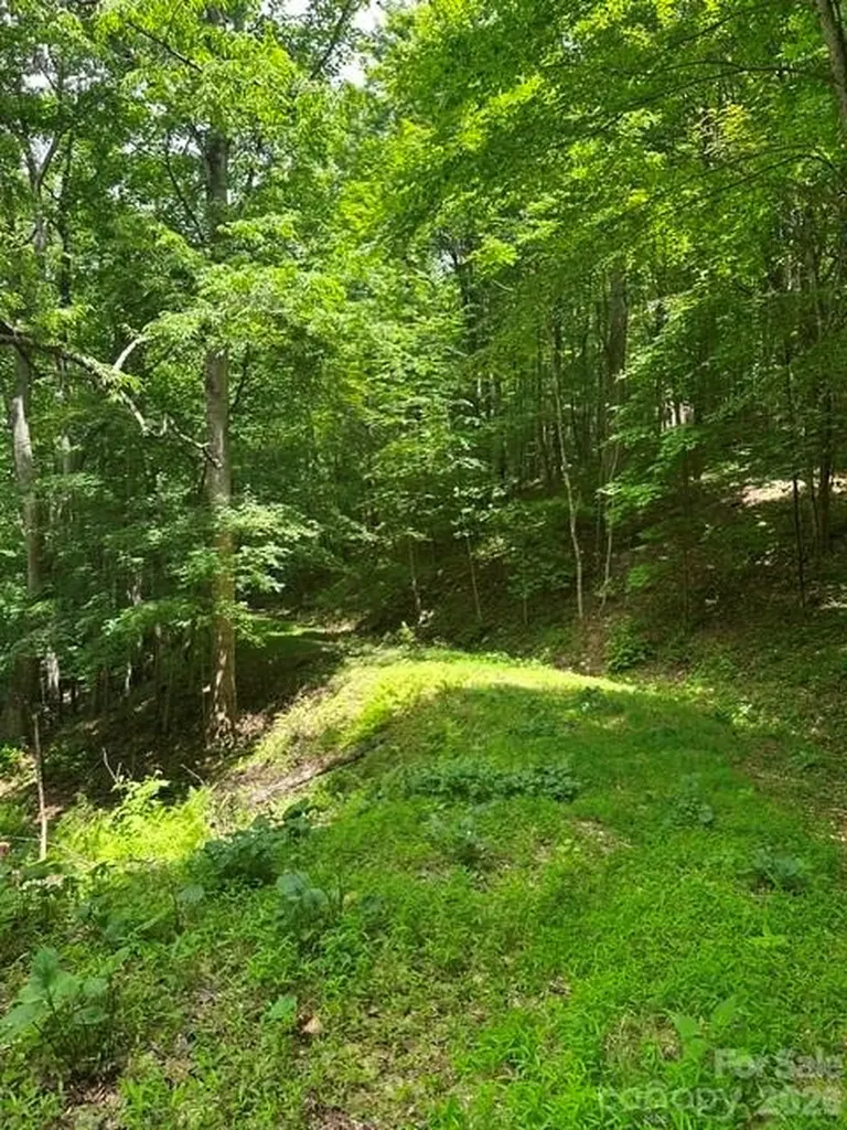 Tbd Mountain Home Road Elk Park NC 28622