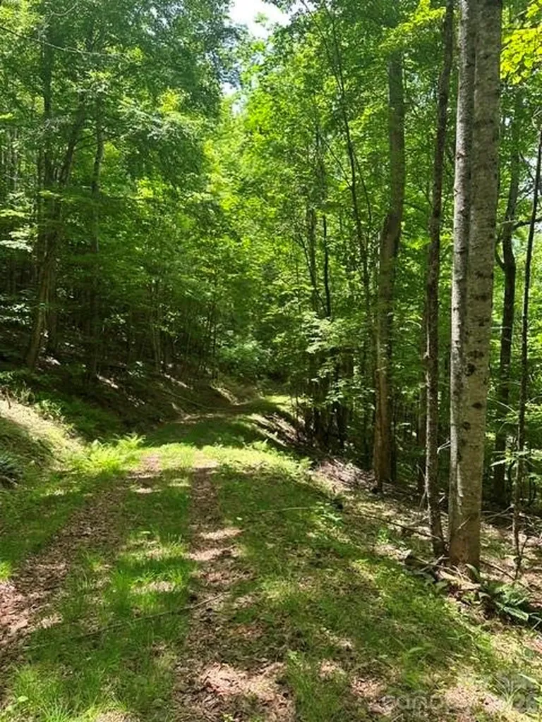 Tbd Mountain Home Road Elk Park NC 28622