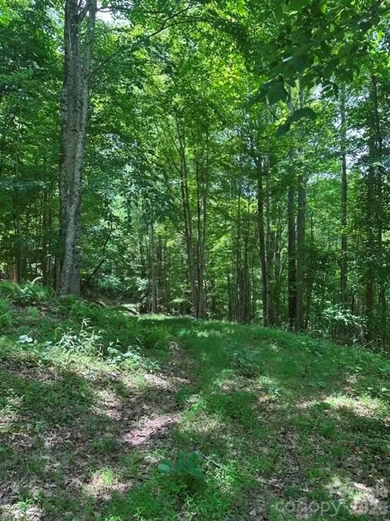 Tbd Mountain Home Road Elk Park NC 28622