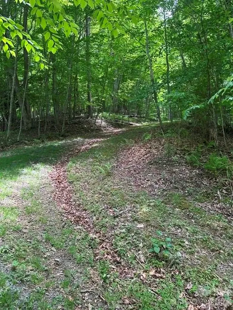 Tbd Mountain Home Road Elk Park NC 28622