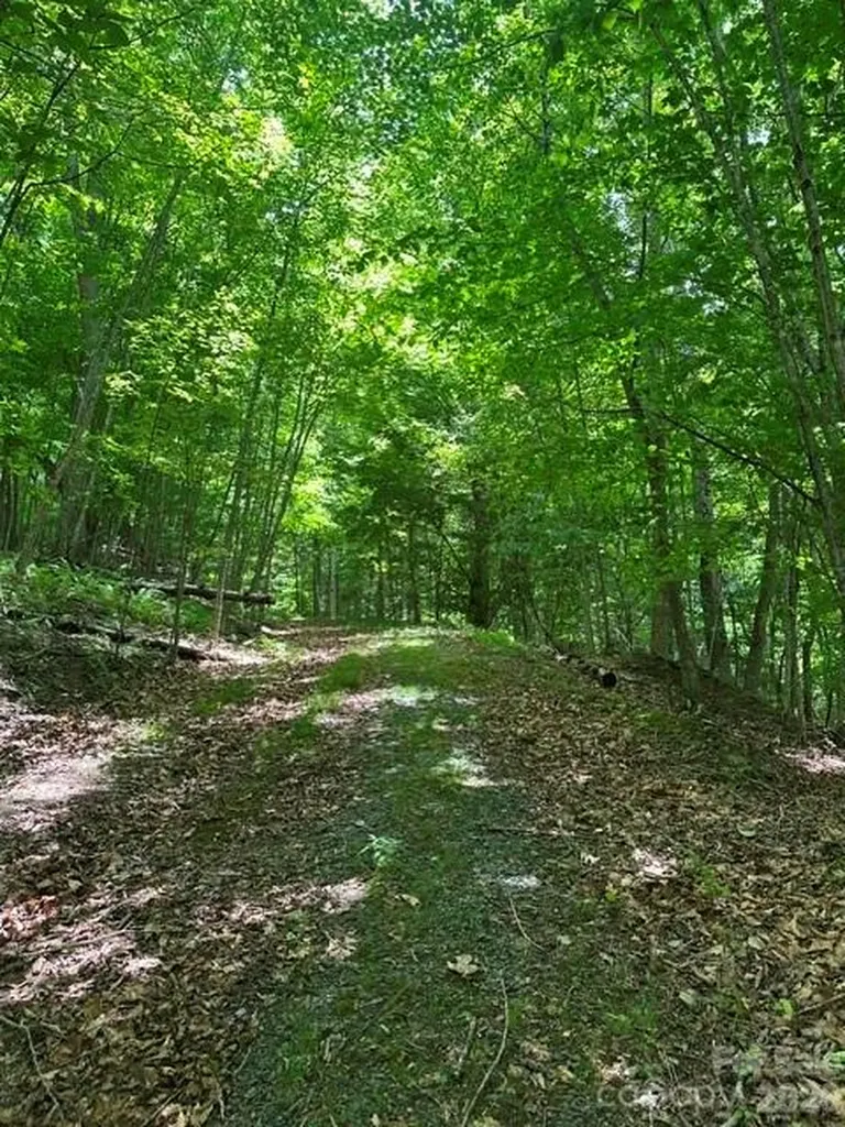 Tbd Mountain Home Road Elk Park NC 28622