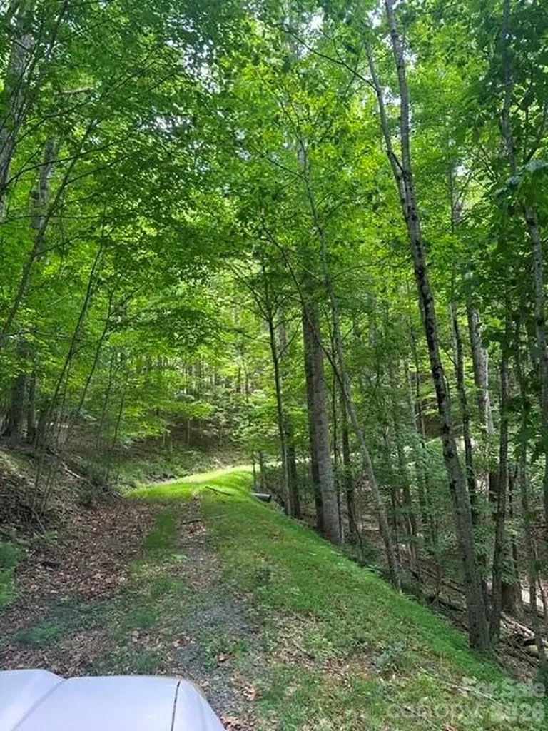 Tbd Mountain Home Road Elk Park NC 28622