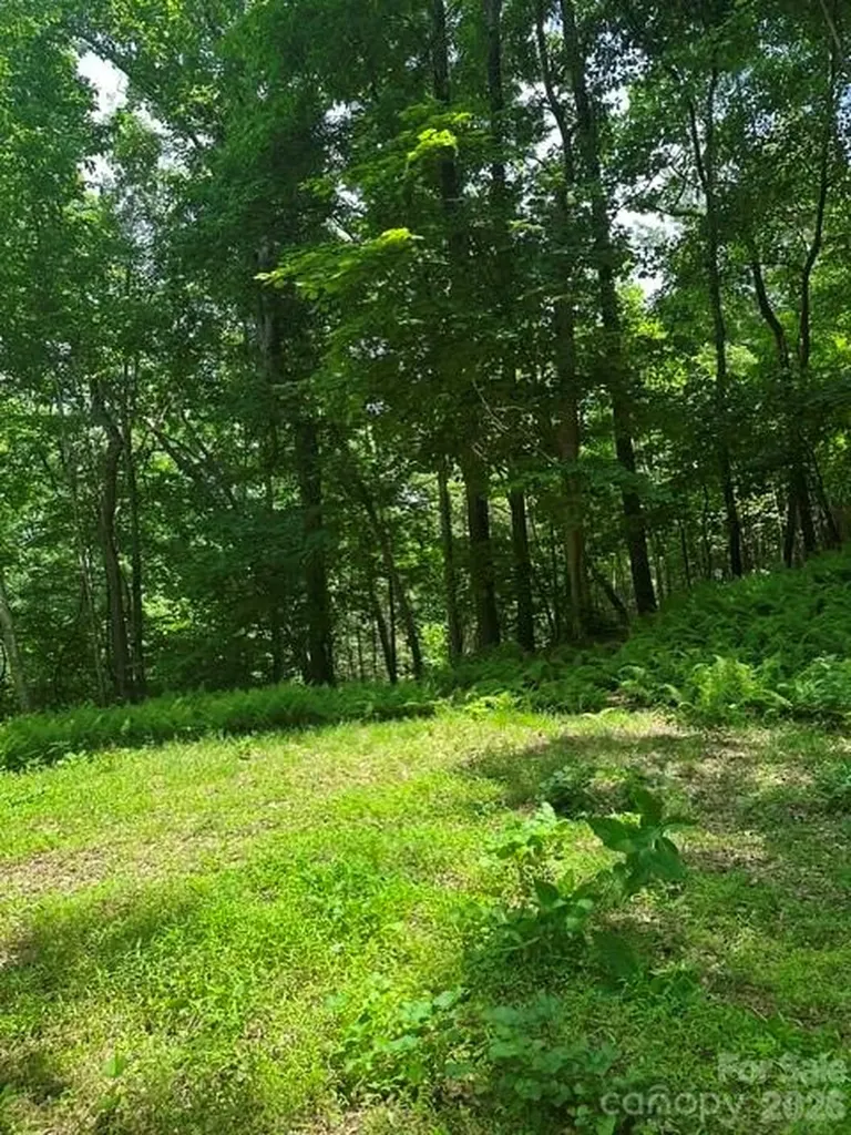Tbd Mountain Home Road Elk Park NC 28622