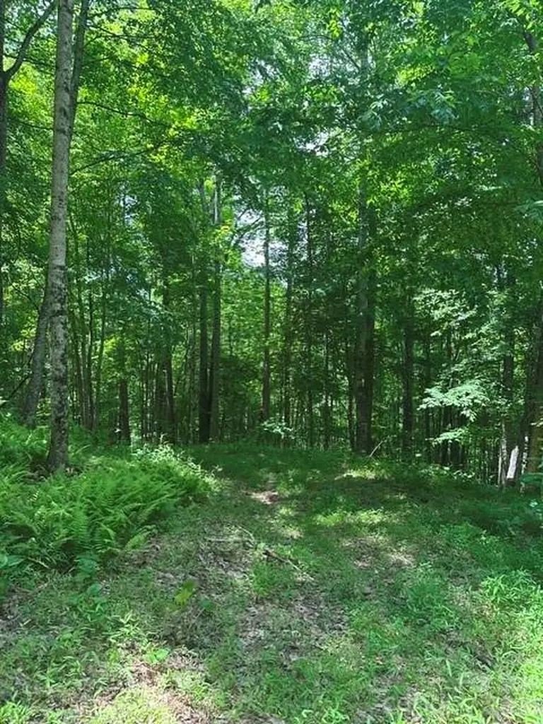 Tbd Mountain Home Road Elk Park NC 28622