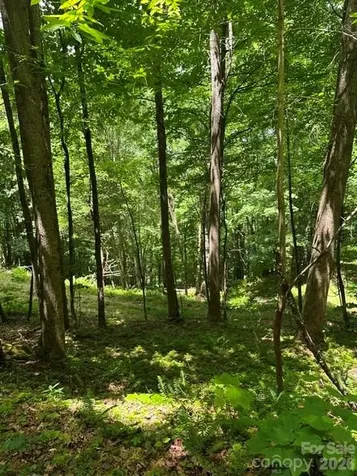 Tbd Mountain Home Road Elk Park NC 28622