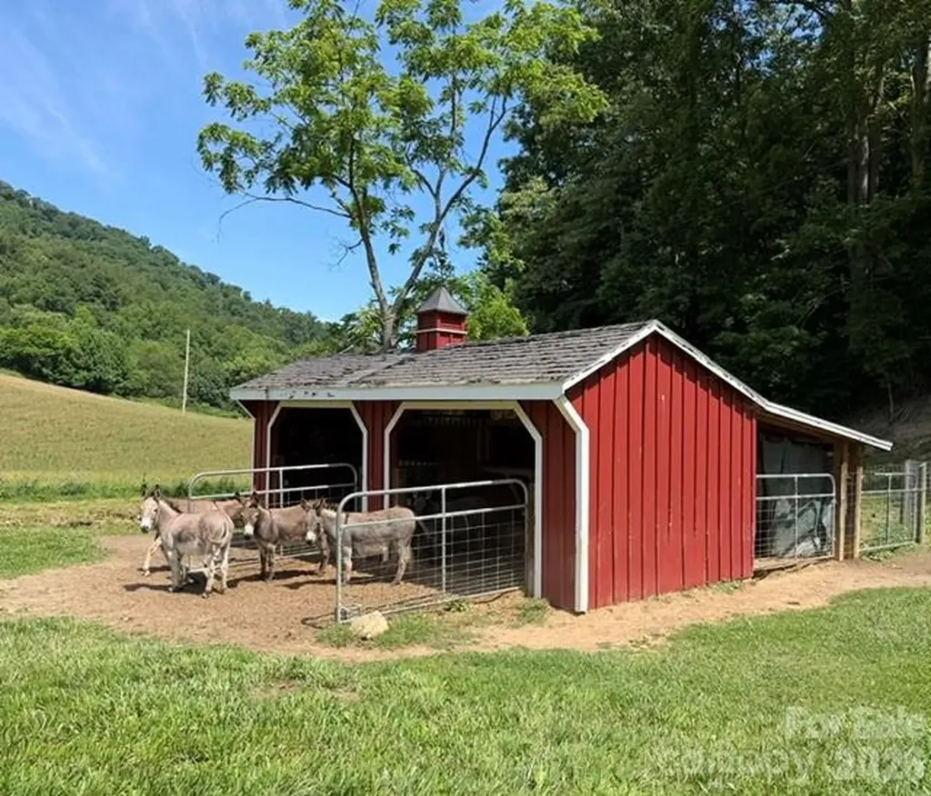 227 Black Bear Cove Clyde NC 28721