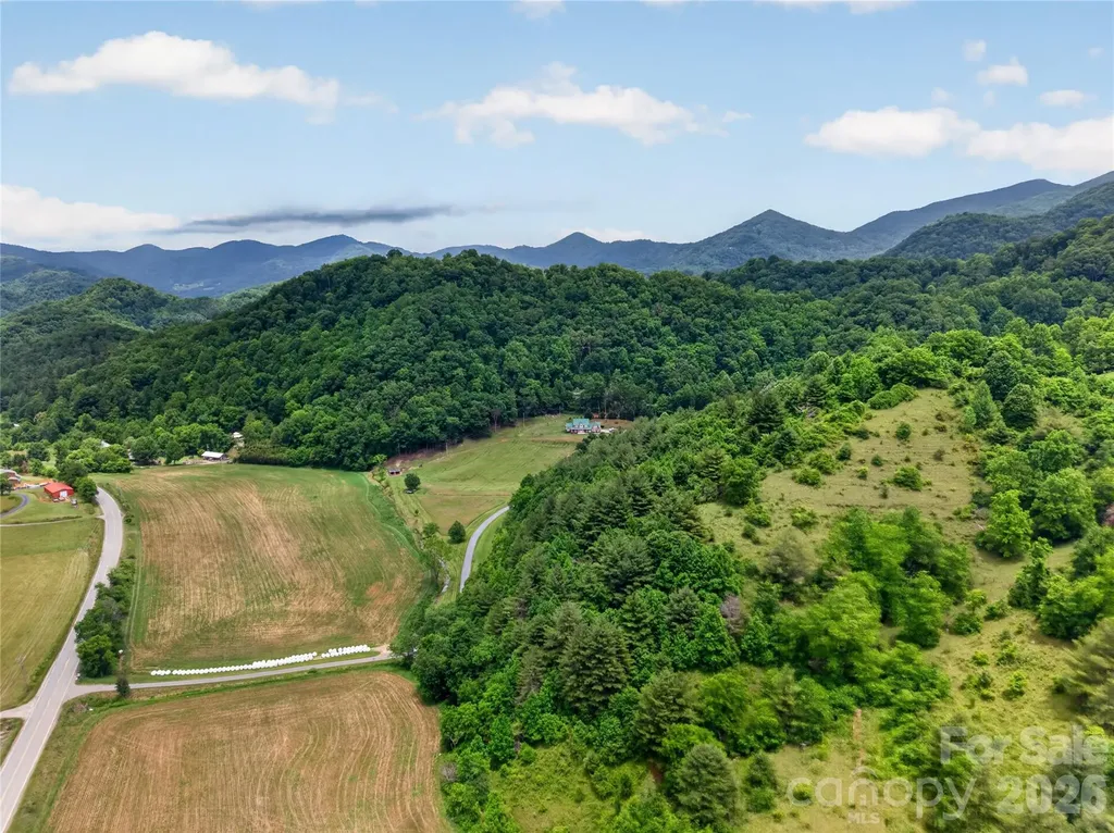 227 Black Bear Cove Clyde NC 28721
