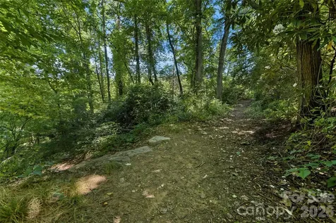 100 Vista Lake Drive Candler NC 28715
