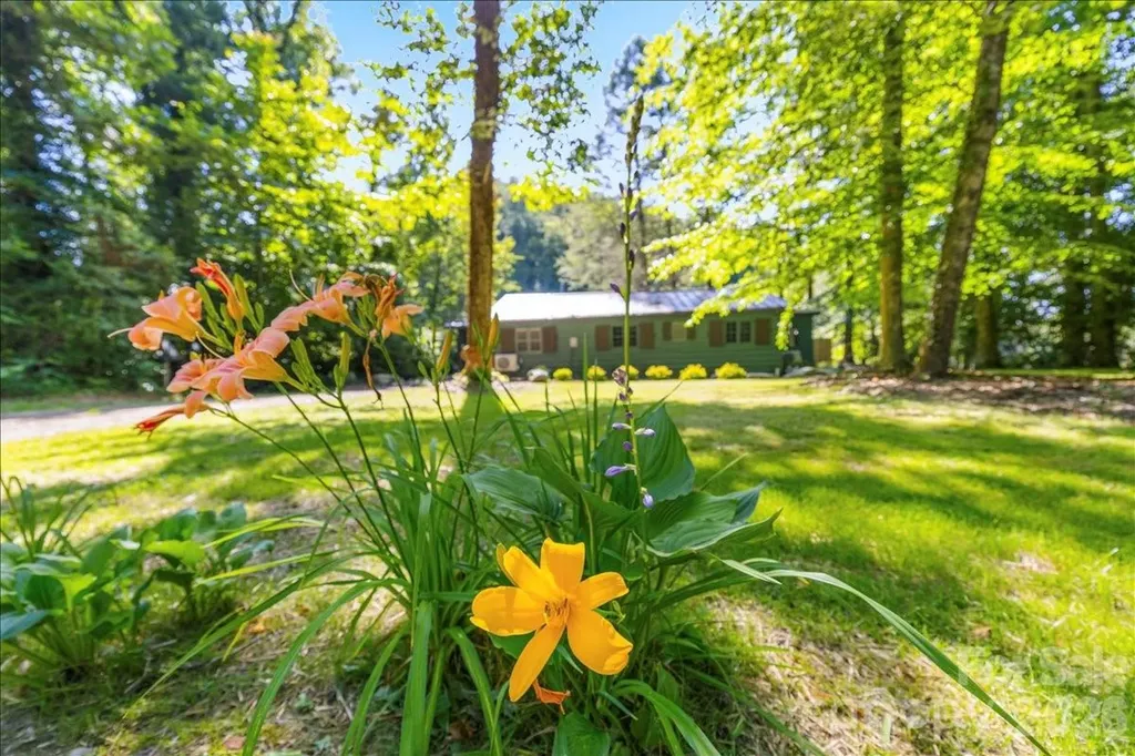 1878 Linville River Road Nebo NC 28761