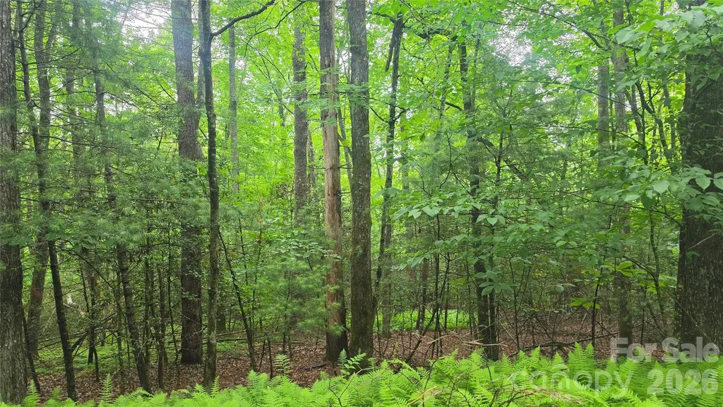 Tbd Wingfield Way Brevard NC 28712