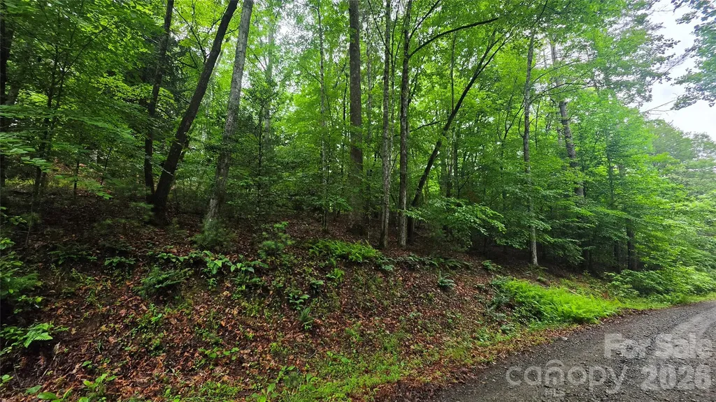 Tbd Wingfield Way Brevard NC 28712