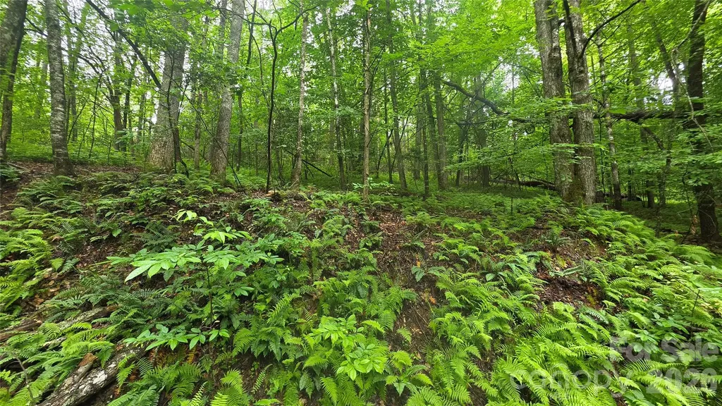 Tbd Wingfield Way Brevard NC 28712