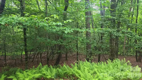 Tbd Wingfield Way Brevard NC 28712
