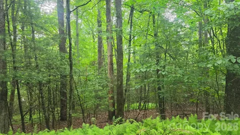 Tbd Wingfield Way Brevard NC 28712