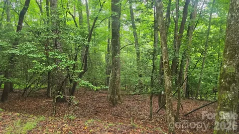 Tbd Wingfield Way Brevard NC 28712