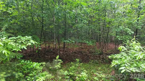 Tbd Wingfield Way Brevard NC 28712