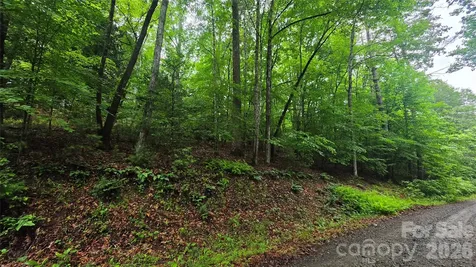 Tbd Wingfield Way Brevard NC 28712