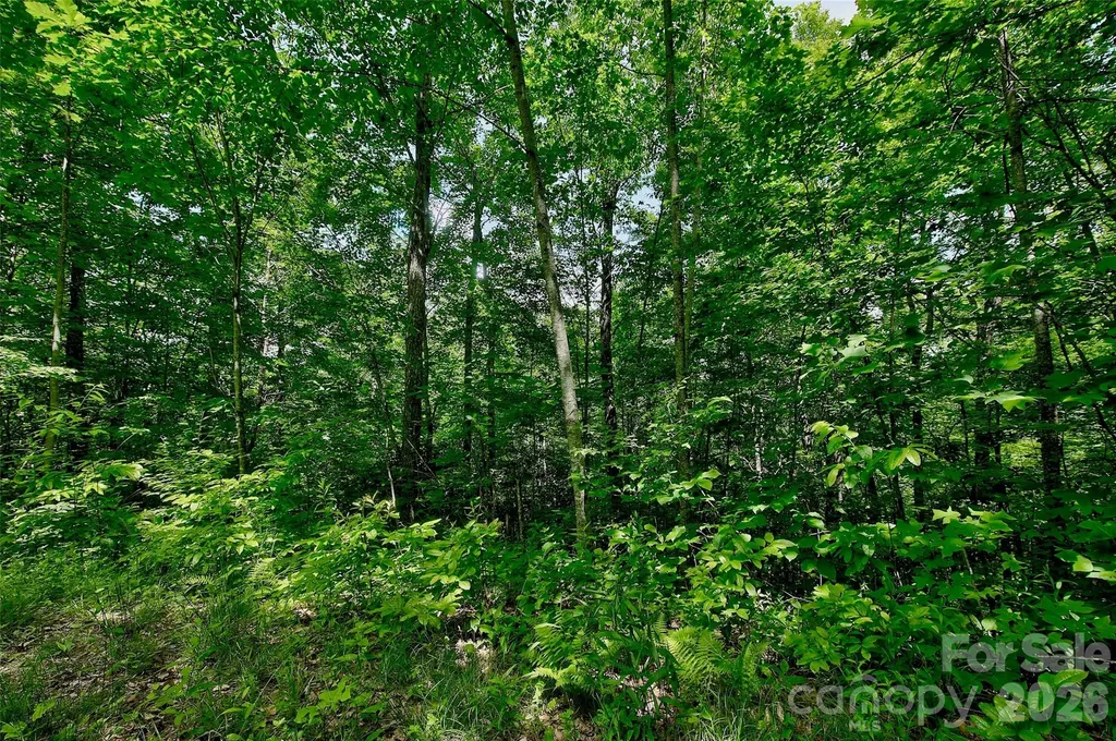00 Arrowhead Ridge Road Spruce Pine NC 28777