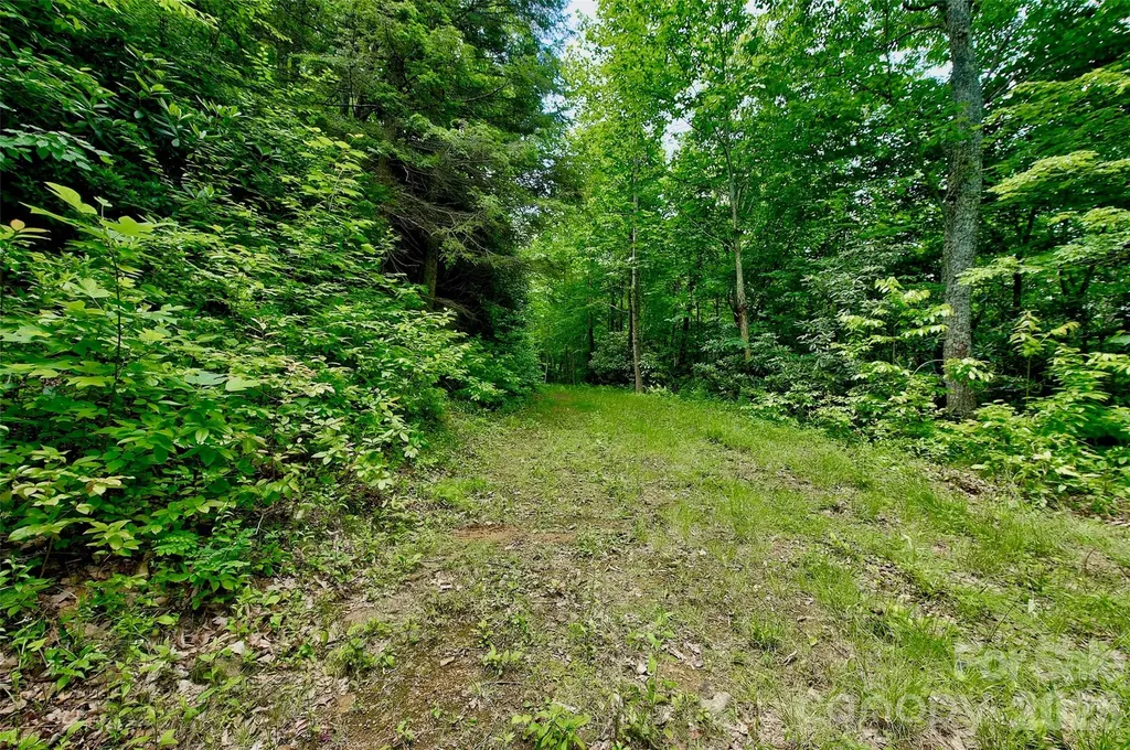 00 Arrowhead Ridge Road Spruce Pine NC 28777