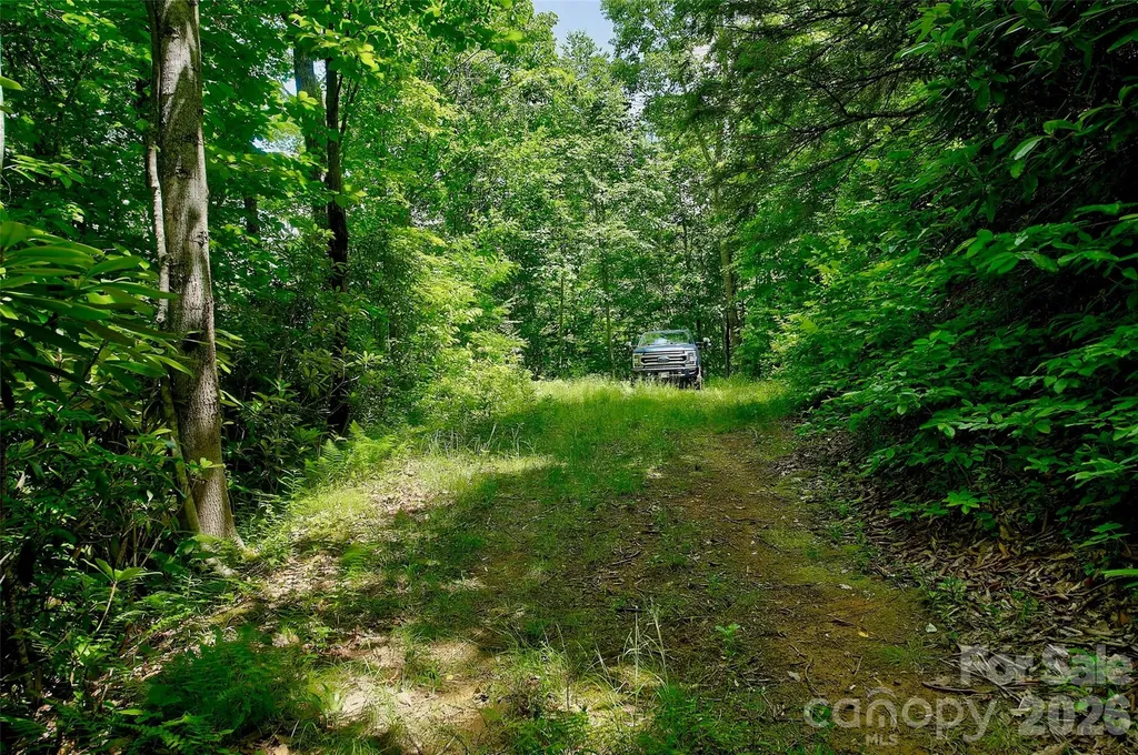 00 Arrowhead Ridge Road Spruce Pine NC 28777