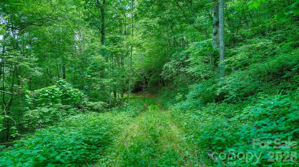 00 Arrowhead Ridge Road Spruce Pine NC 28777