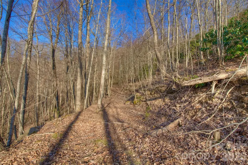 00 Arrowhead Ridge Road Spruce Pine NC 28777