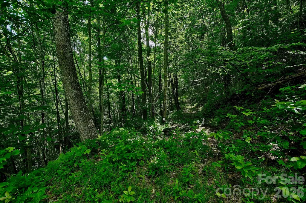 00 Arrowhead Ridge Road Spruce Pine NC 28777