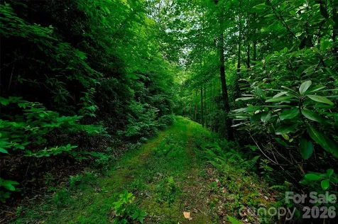 00 Arrowhead Ridge Road Spruce Pine NC 28777