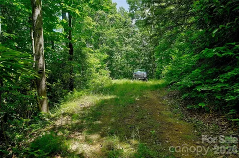 00 Arrowhead Ridge Road Spruce Pine NC 28777