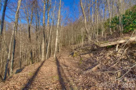 00 Arrowhead Ridge Road Spruce Pine NC 28777