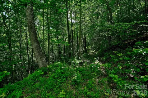 00 Arrowhead Ridge Road Spruce Pine NC 28777