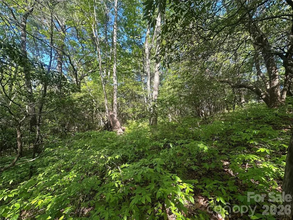 Rr 17 Lakeside Drive Lake Toxaway NC 28747