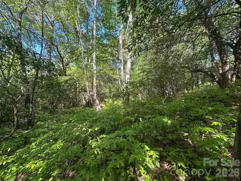 Rr 17 Lakeside Drive Lake Toxaway NC 28747