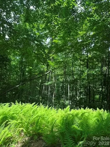 1094 Us 321 Highway Sugar Grove NC 28679