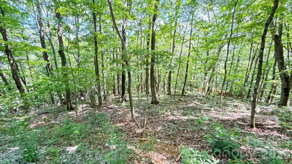 Tbd Greencove Drive Seven Devils NC 28604