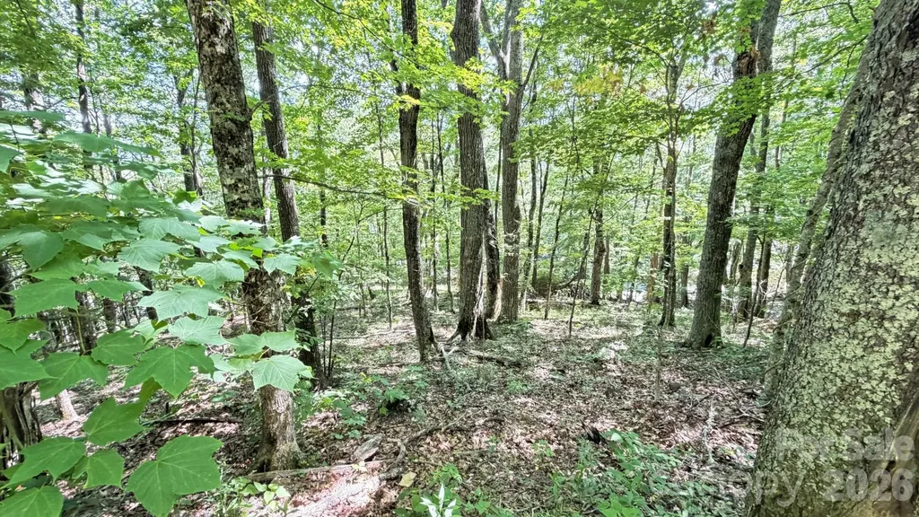 Tbd Greencove Drive Seven Devils NC 28604