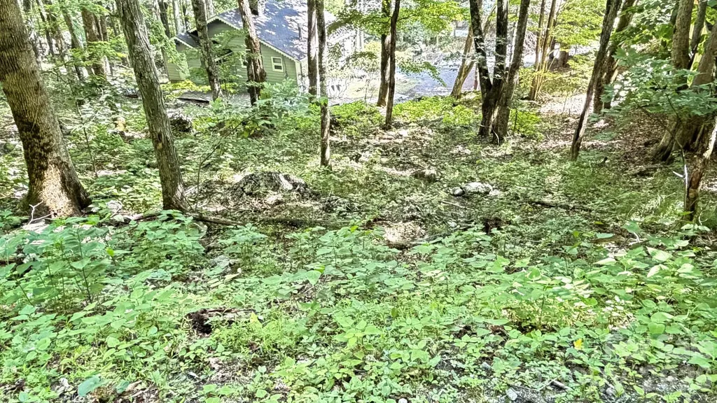 Tbd Greencove Drive Seven Devils NC 28604