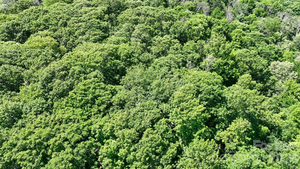 Tbd Greencove Drive Seven Devils NC 28604