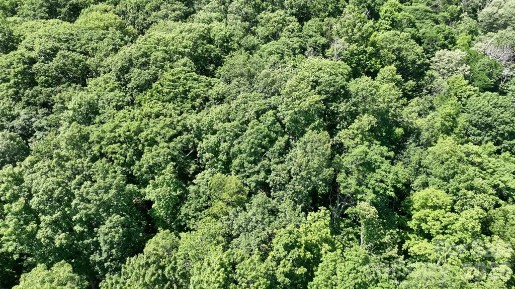 Tbd Greencove Drive Seven Devils NC 28604