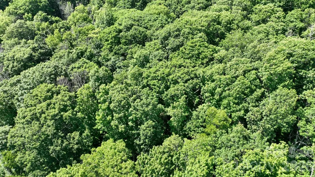Tbd Greencove Drive Seven Devils NC 28604